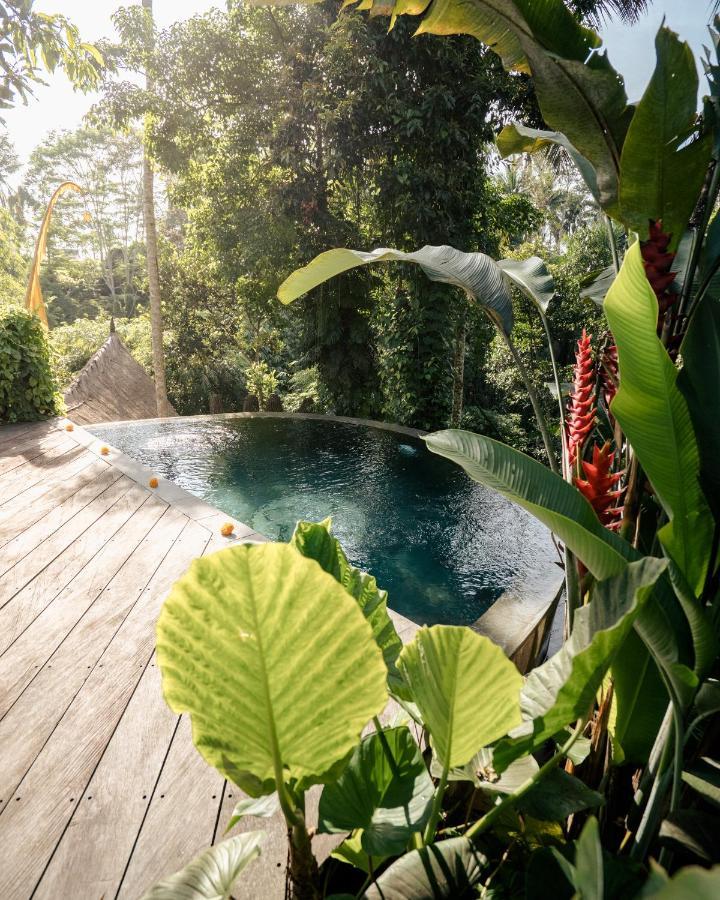 Hotel Basundari Retreat Ubud Esterno foto